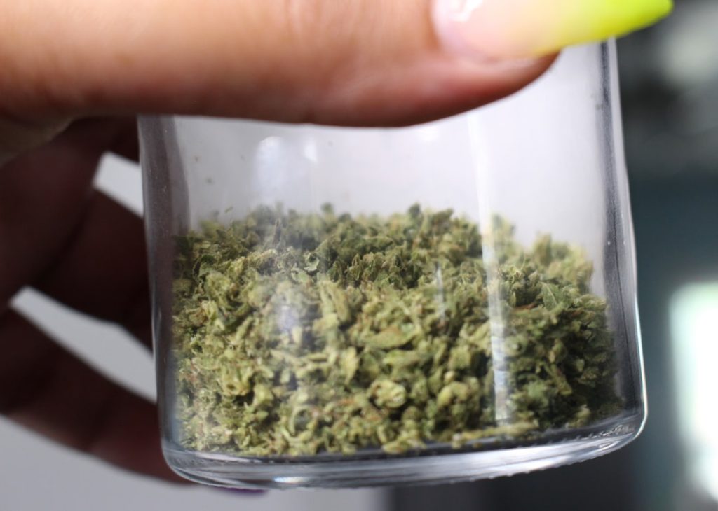 green-kush-in-clear-glass-container-ufnbqxd-xlg Glass jar with ground-up cannabis